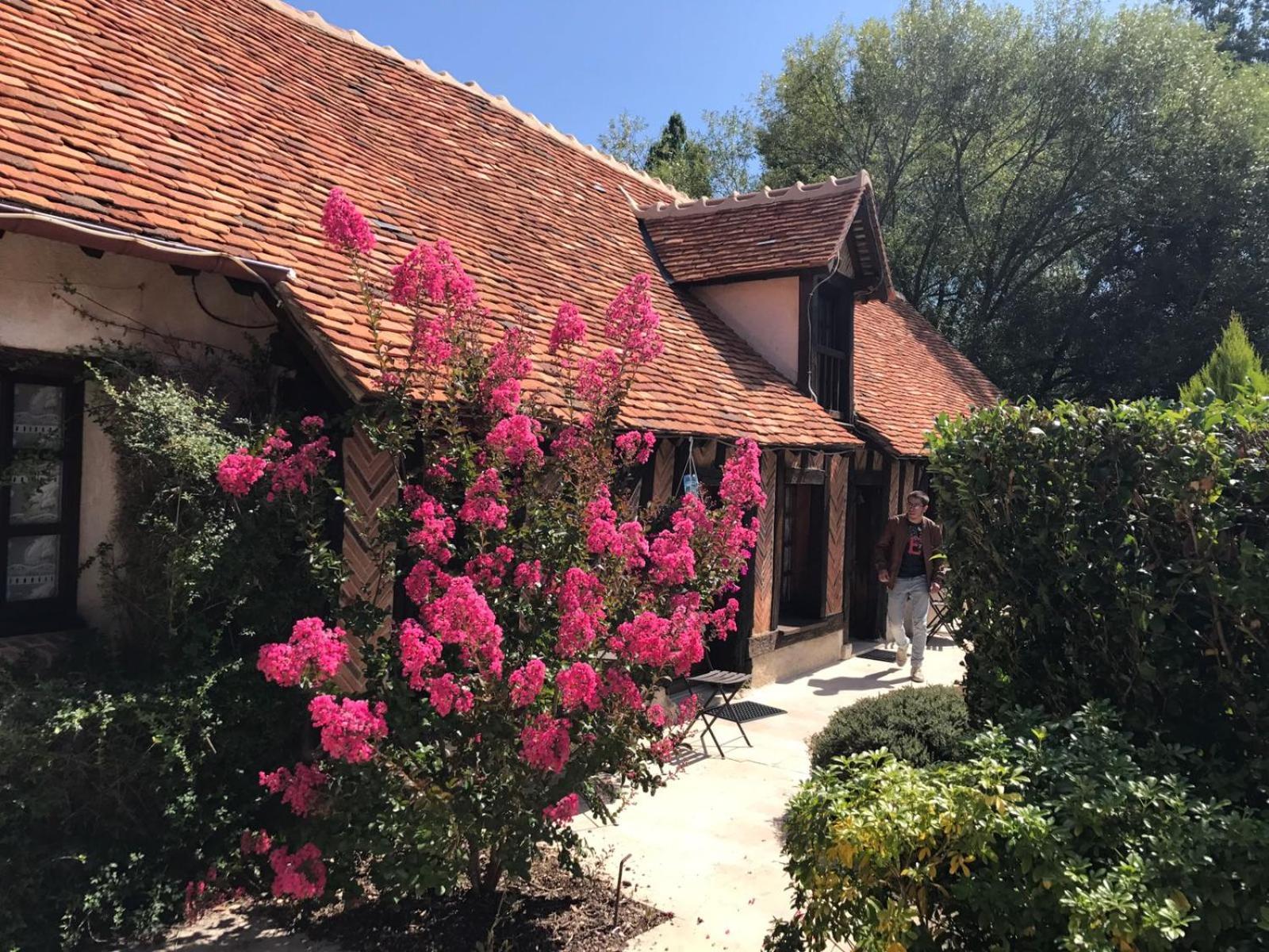 Domaine De Grand-Pas Vila Vernou-en-Sologne Exterior foto